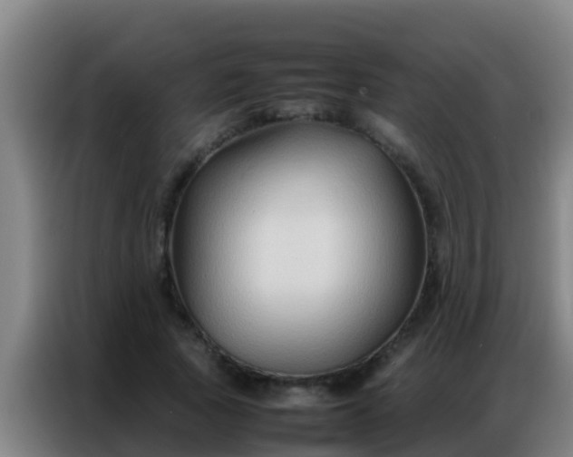 X0000086790737200704201843