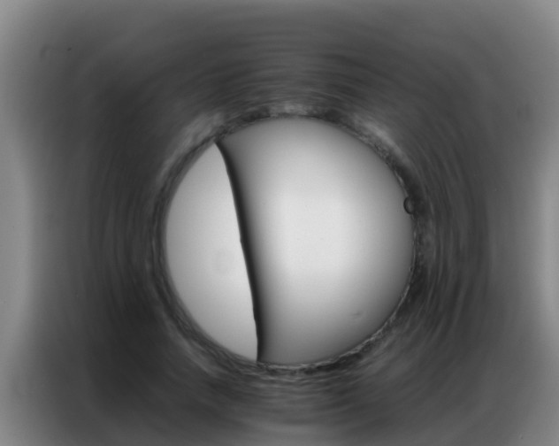 X0000086790738200704201843