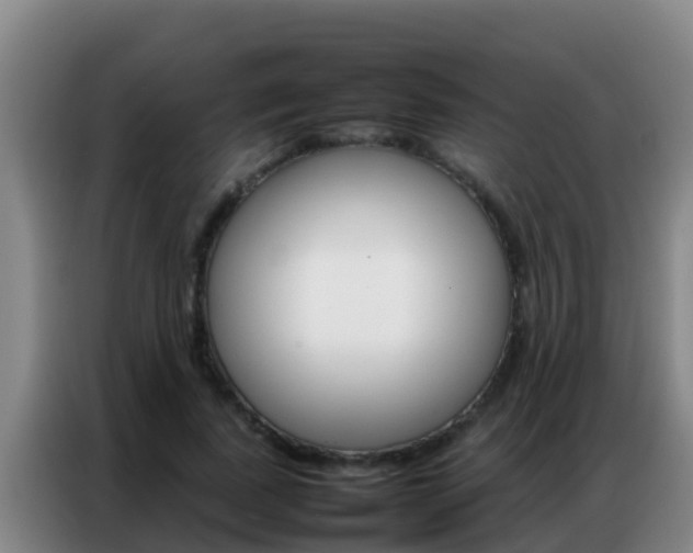 X0000086790739200704201843