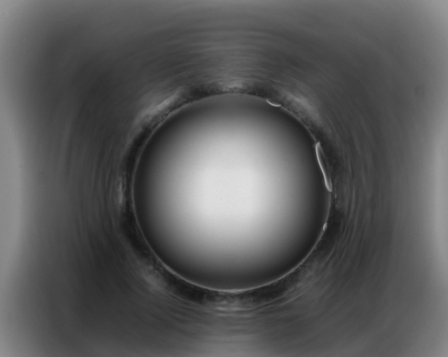 X0000086790740200704201843
