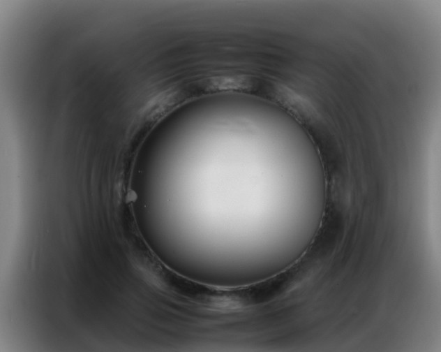 X0000086790741200704201843