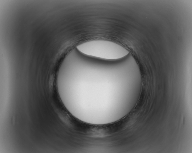 X0000086790742200704201843