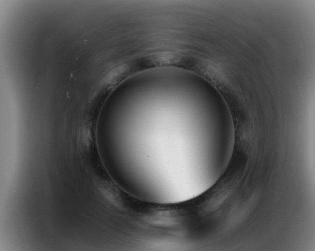X0000086790746200704201843