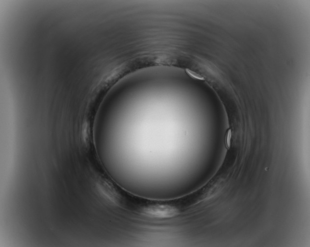 X0000086790748200704201843