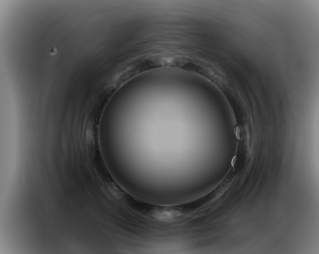 X0000086790754200704201843