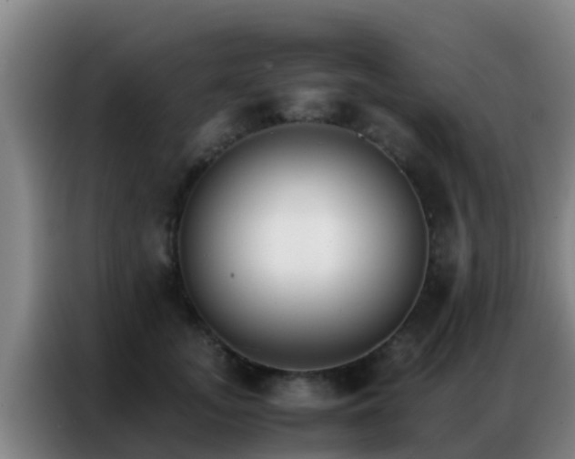 X0000086790755200704201843