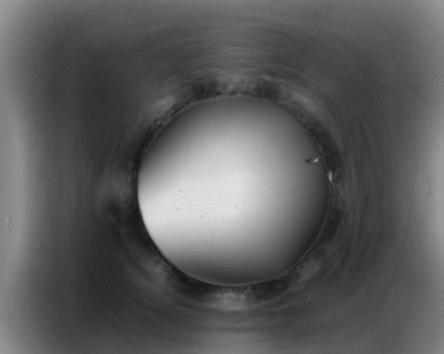 X0000086790756200704201843
