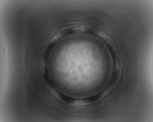 X0000086790759200704201843