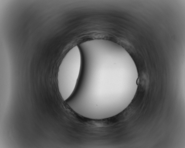 X0000086790763200704201843