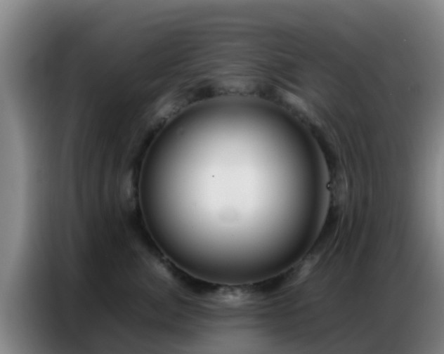 X0000086790764200704201843