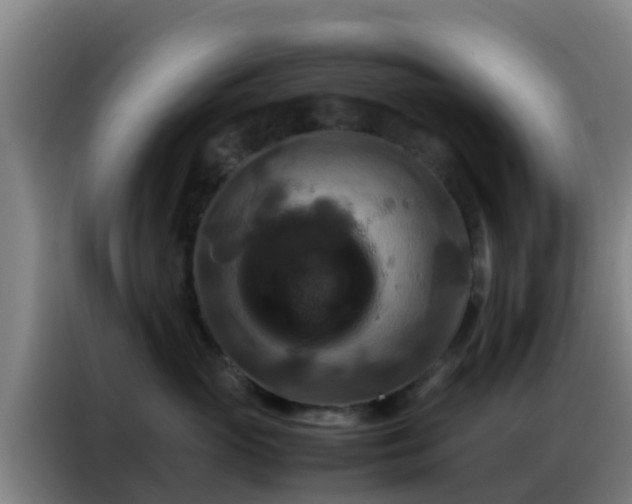 X0000086790765200704201843