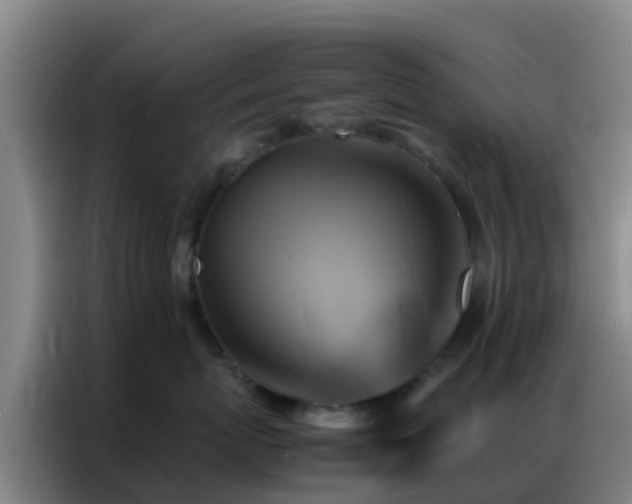 X0000086790767200704201843