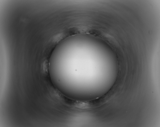 X0000086790768200704201843
