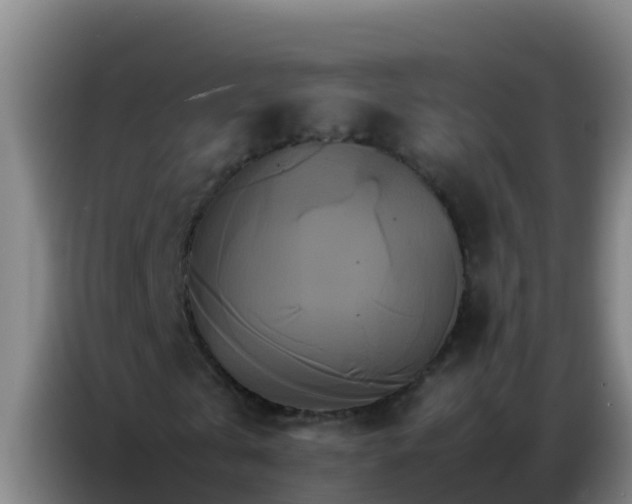 X0000086790769200704201843
