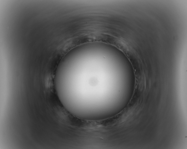 X0000086790770200704201843