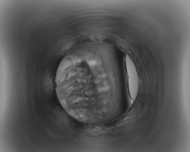 X0000086790772200704201843