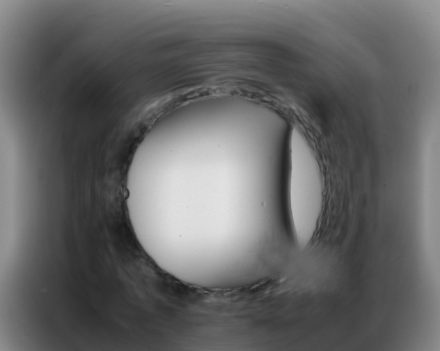 X0000086790773200704201843