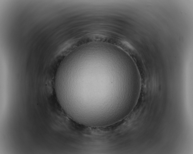 X0000086790774200704201843