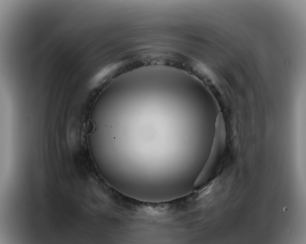 X0000086790775200704201843