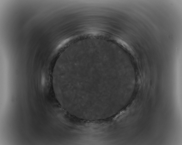 X0000086790776200704201843