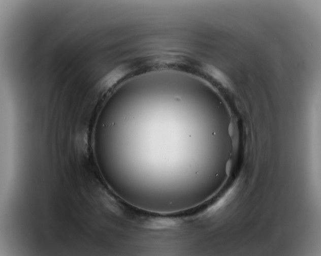 X0000086790777200704201843