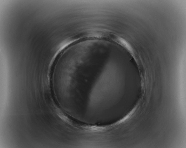 X0000086790779200704201843