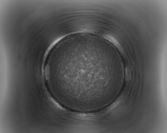 X0000086790780200704201843