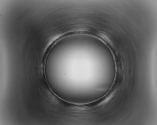 X0000086790781200704201843