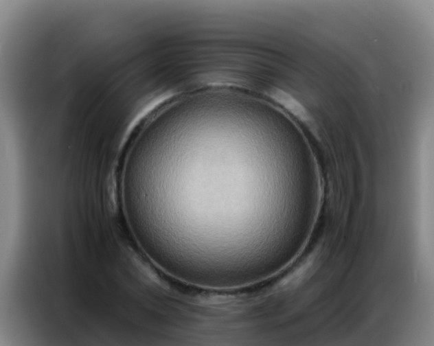 X0000086790782200704201843