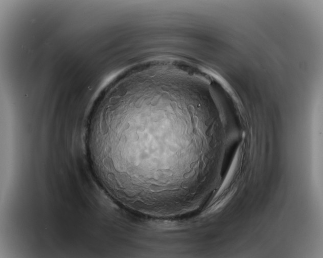 X0000086790783200704201843