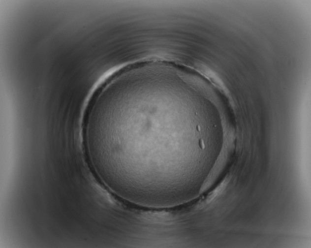 X0000086790784200704201843