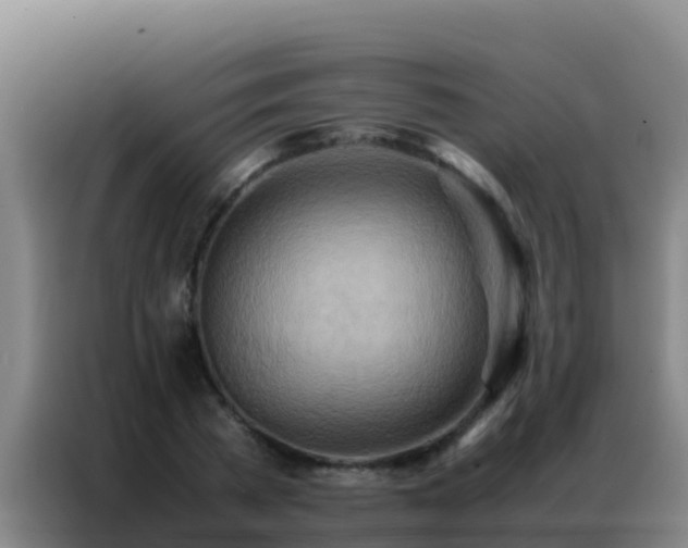 X0000086790785200704201843