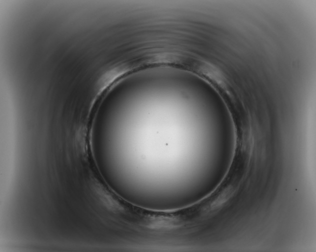 X0000086790786200704201843
