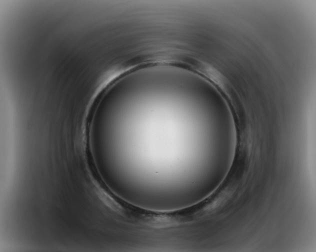 X0000086790787200704201843