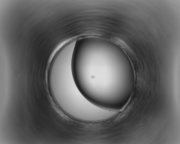 X0000086790788200704201843