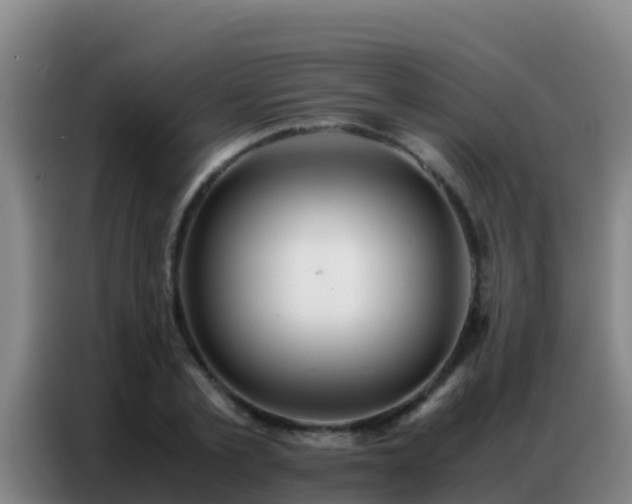 X0000086790789200704201843
