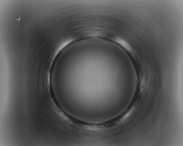X0000086790790200704201843