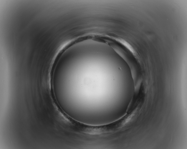 X0000086790791200704201843