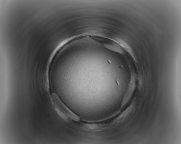 X0000086790792200704201843