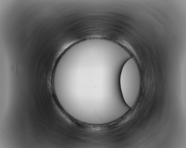 X0000086790794200704201842