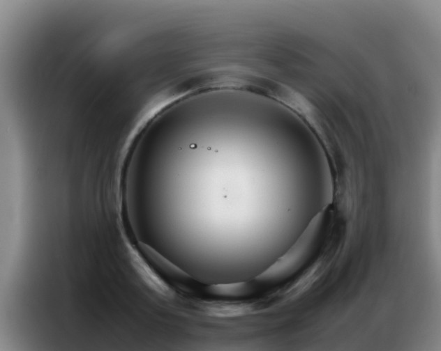 X0000086790795200704201842