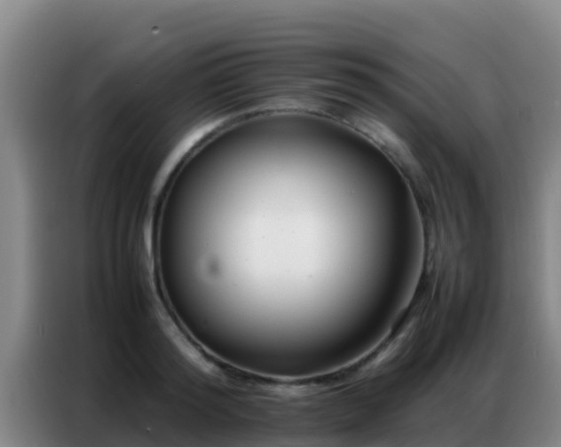 X0000086790796200704201842