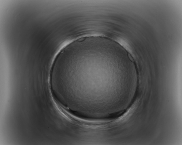 X0000086790797200704201842