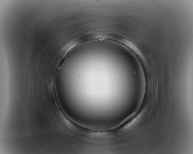 X0000086790801200704201842