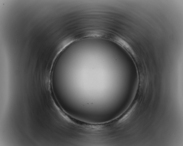 X0000086790802200704201842