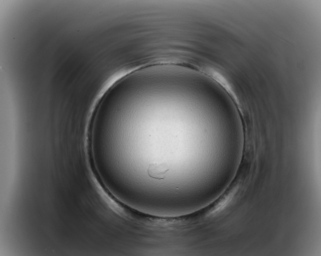 X0000086790803200704201842