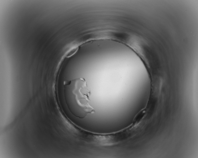 X0000086790805200704201842