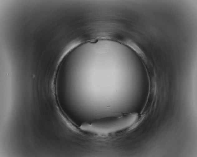 X0000086790806200704201842