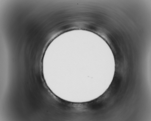X0000086790807200704201842