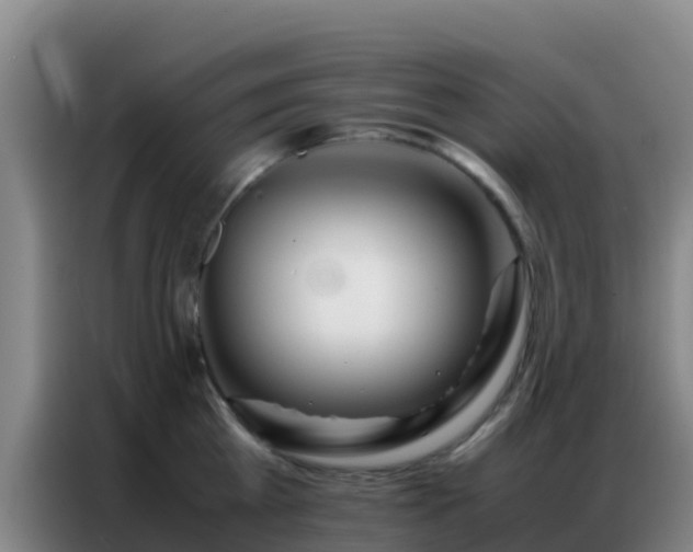 X0000086790809200704201842